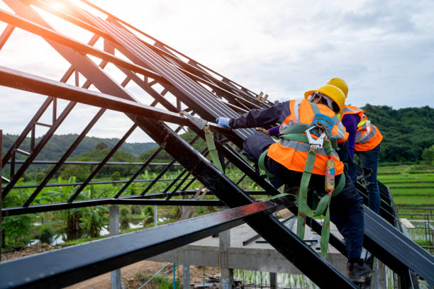 Best Storm Damage Roof Repair  in Wray, CO