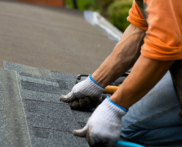 Best Emergency Roof Repair  in Wray, CO