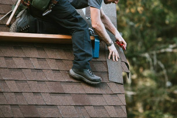Best Local Roofing Companies  in Wray, CO